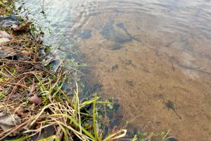 Lot 7 Riverdale Ln, , Eagle River,  WI 54521