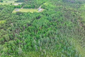 SE 10A On Javen Rd, , Three Lakes,  WI 54562