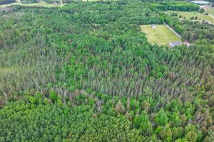 SE 10A On Javen Rd, , Three Lakes,  WI 54562