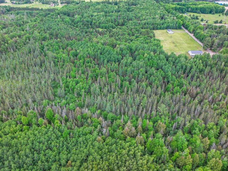 SE 10A On Javen Rd, , Three Lakes,  WI 54562