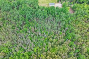 SE 10A On Javen Rd, , Three Lakes,  WI 54562