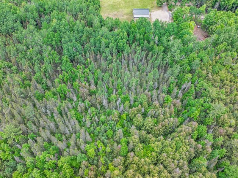 SE 10A On Javen Rd, , Three Lakes,  WI 54562
