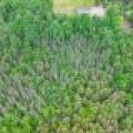 SE 10A On Javen Rd, , Three Lakes,  WI 54562