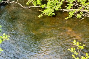 W14905 Parrish Rd, , Gleason,  WI 54435
