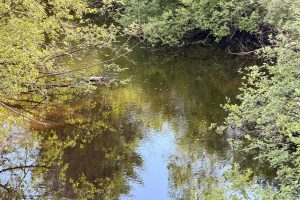 W14905 Parrish Rd, , Gleason,  WI 54435