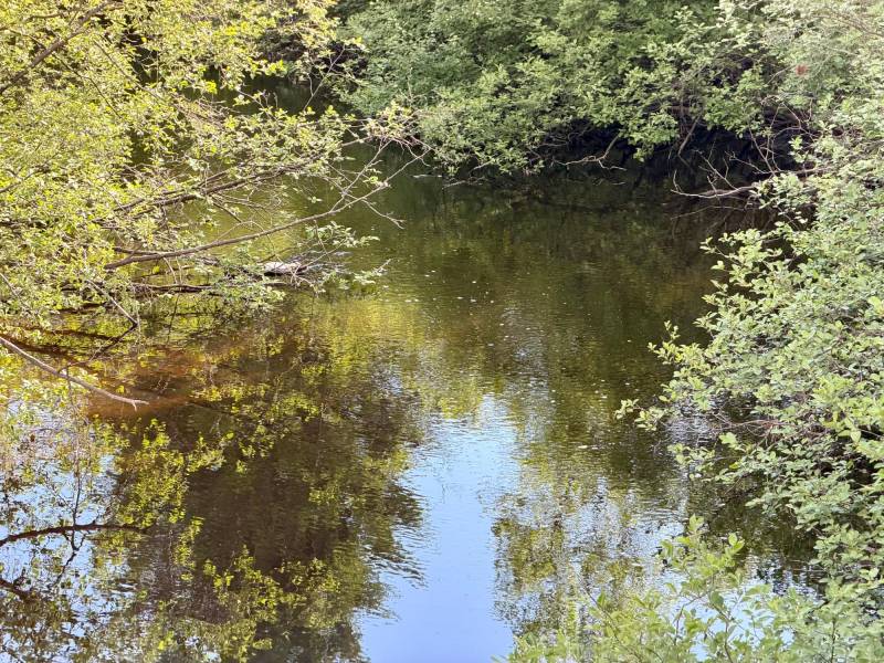W14905 Parrish Rd, , Gleason,  WI 54435
