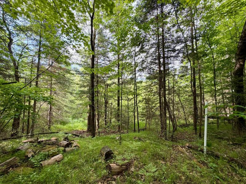 W14905 Parrish Rd, , Gleason,  WI 54435
