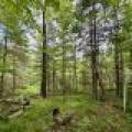 W14905 Parrish Rd, , Gleason,  WI 54435