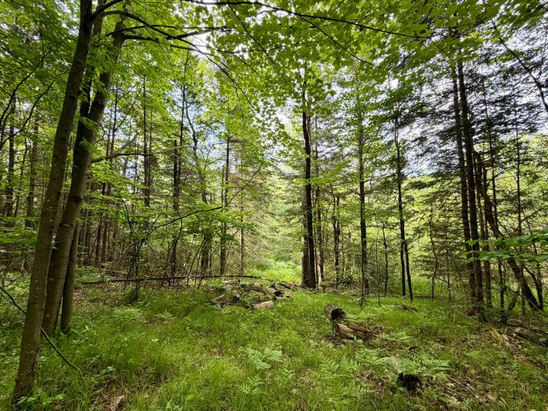 W14905 Parrish Rd, , Gleason,  WI 54435