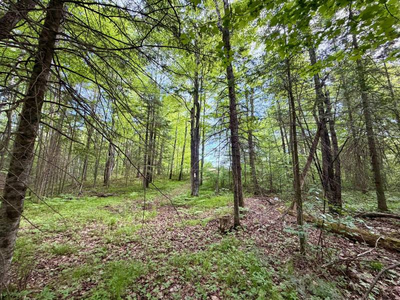 W14905 Parrish Rd, , Gleason,  WI 54435