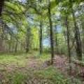 W14905 Parrish Rd, , Gleason,  WI 54435