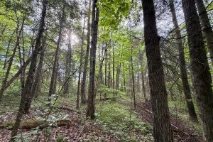 W14905 Parrish Rd, , Gleason,  WI 54435