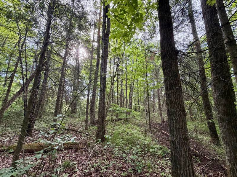 W14905 Parrish Rd, , Gleason,  WI 54435