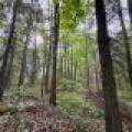 W14905 Parrish Rd, , Gleason,  WI 54435