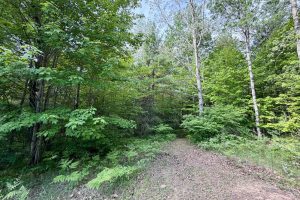 W14905 Parrish Rd, , Gleason,  WI 54435