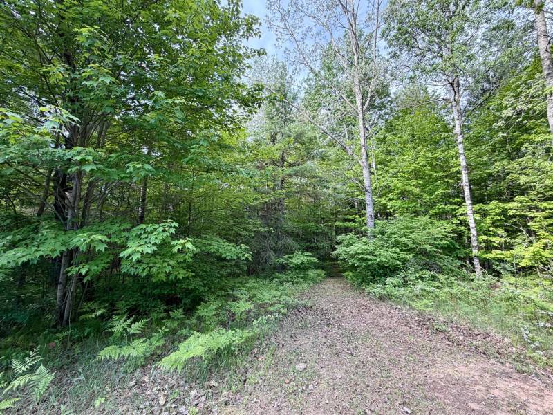 W14905 Parrish Rd, , Gleason,  WI 54435