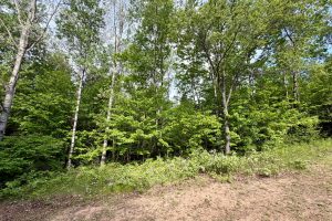 W14905 Parrish Rd, , Gleason,  WI 54435