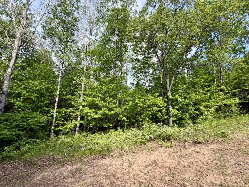W14905 Parrish Rd, , Gleason,  WI 54435