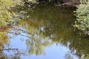 W14905 Parrish Rd, , Gleason,  WI 54435