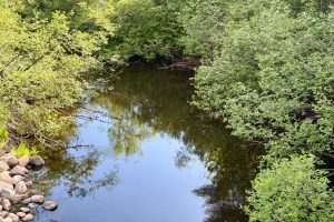 W14905 Parrish Rd, , Gleason,  WI 54435