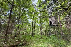 W14905 Parrish Rd, , Gleason,  WI 54435
