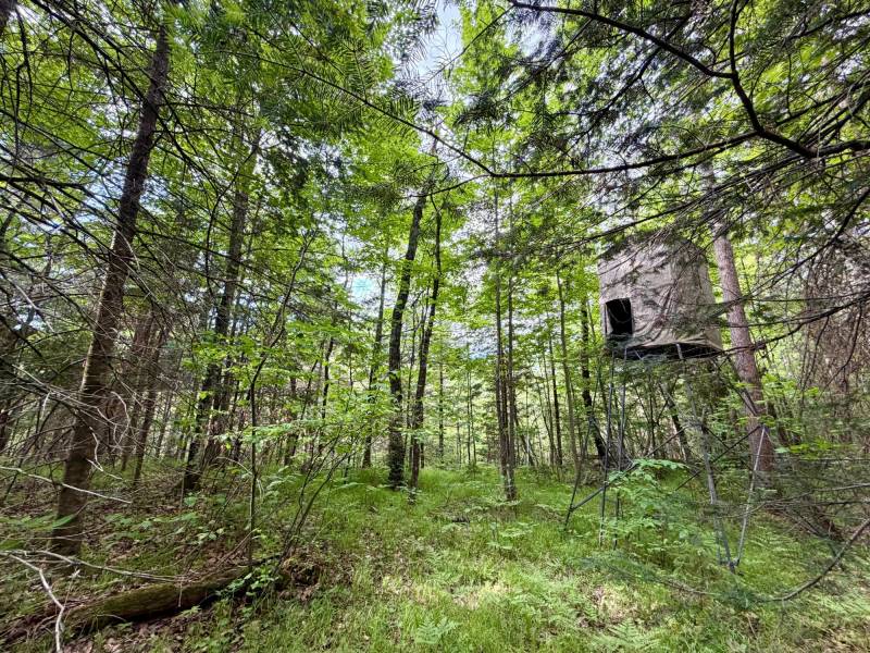 W14905 Parrish Rd, , Gleason,  WI 54435