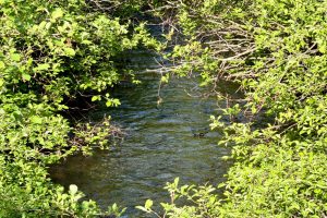 W14905 Parrish Rd, , Gleason,  WI 54435