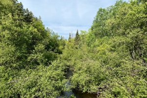W14905 Parrish Rd, , Gleason,  WI 54435