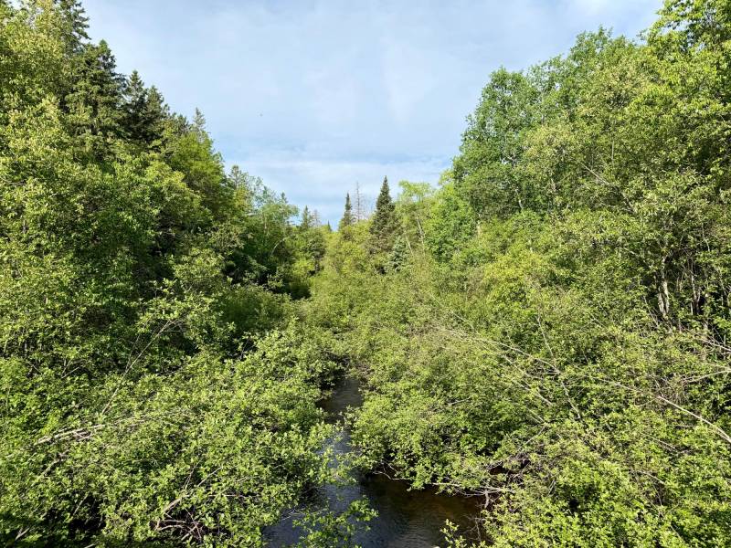 W14905 Parrish Rd, , Gleason,  WI 54435