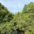 W14905 Parrish Rd, , Gleason,  WI 54435