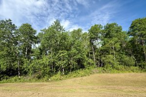 W14905 Parrish Rd, , Gleason,  WI 54435
