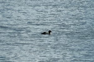 W5577 Beach Rd, , Bradley,  WI 54487 USA