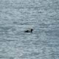 W5577 Beach Rd, , Bradley,  WI 54487 USA