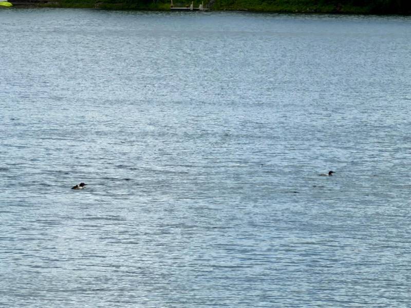 W5577 Beach Rd, , Bradley,  WI 54487 USA
