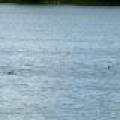 W5577 Beach Rd, , Bradley,  WI 54487 USA