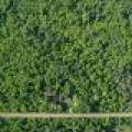 W6542 Milky Rd, , Tomahawk,  WI 54487