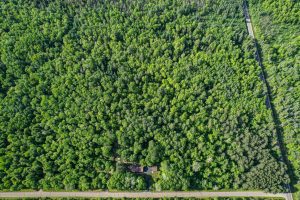 W6542 Milky Rd, , Tomahawk,  WI 54487