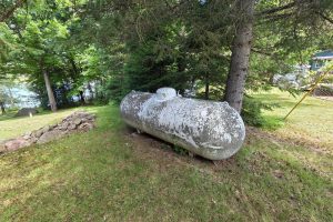 W8656 Silver Birch Rd, , Tomahawk,  WI 54487