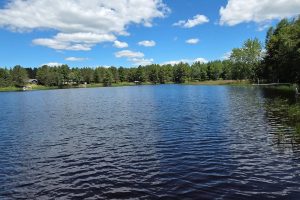 W8656 Silver Birch Rd, , Tomahawk,  WI 54487