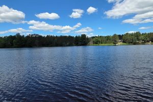 W8656 Silver Birch Rd, , Tomahawk,  WI 54487