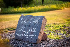 10041 Woodgate Pl, , Minocqua,  WI 54558 USA