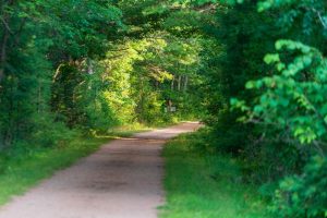10041 Woodgate Pl, , Minocqua,  WI 54558 USA
