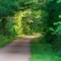 10041 Woodgate Pl, , Minocqua,  WI 54558 USA