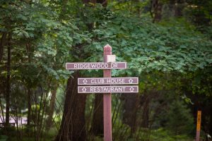 10041 Woodgate Pl, , Minocqua,  WI 54558 USA