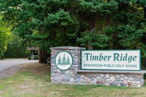 10041 Woodgate Pl, , Minocqua,  WI 54558 USA