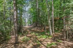 1465 E Bass Lake Rd, , Washington,  WI 54521 USA