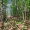1465 E Bass Lake Rd, , Washington,  WI 54521 USA