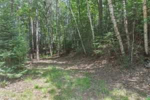 1465 E Bass Lake Rd, , Washington,  WI 54521 USA