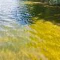 1465 E Bass Lake Rd, , Washington,  WI 54521 USA