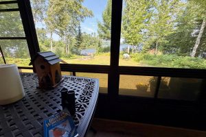 16265 N Cys Dr, , Park Falls,  WI 54552 USA